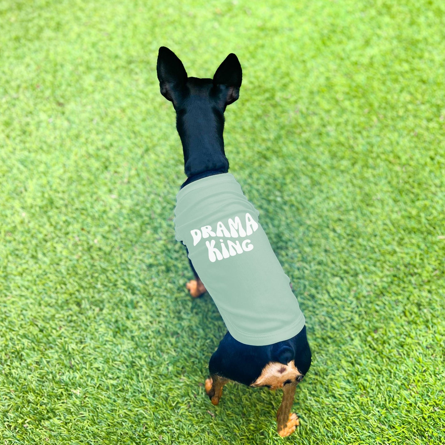 "Drama King" Retro Wave Dog Shirt