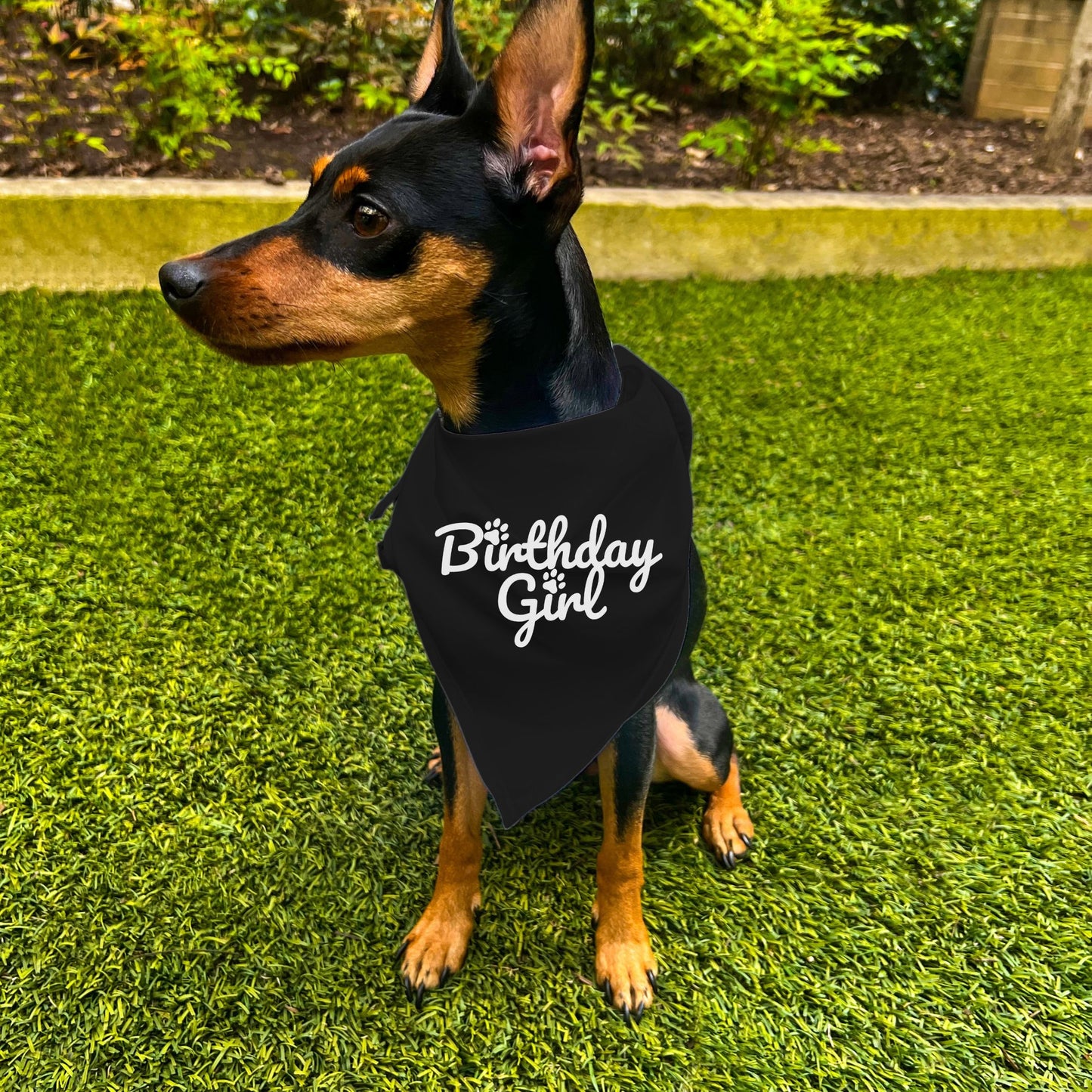 "Birthday Girl" Dog Bandana