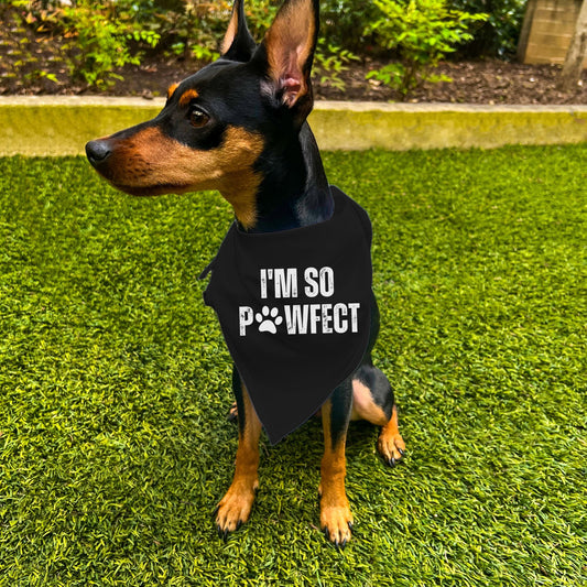 "I'm SO Pawfect" Dog Bandana