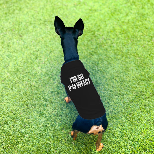 "I'm So PAWfect" Dog Shirt