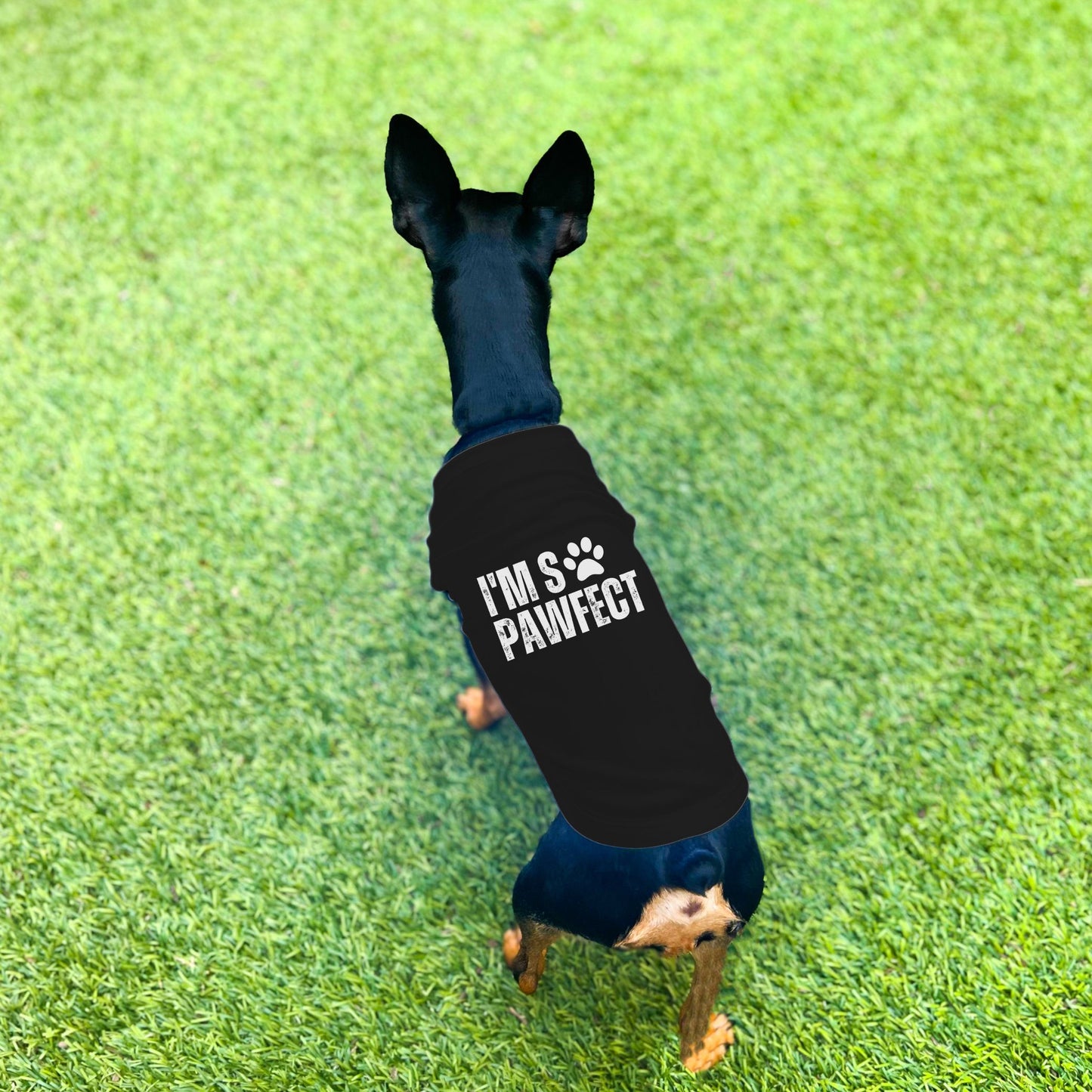 "I'm SO Pawfect" Dog Shirt