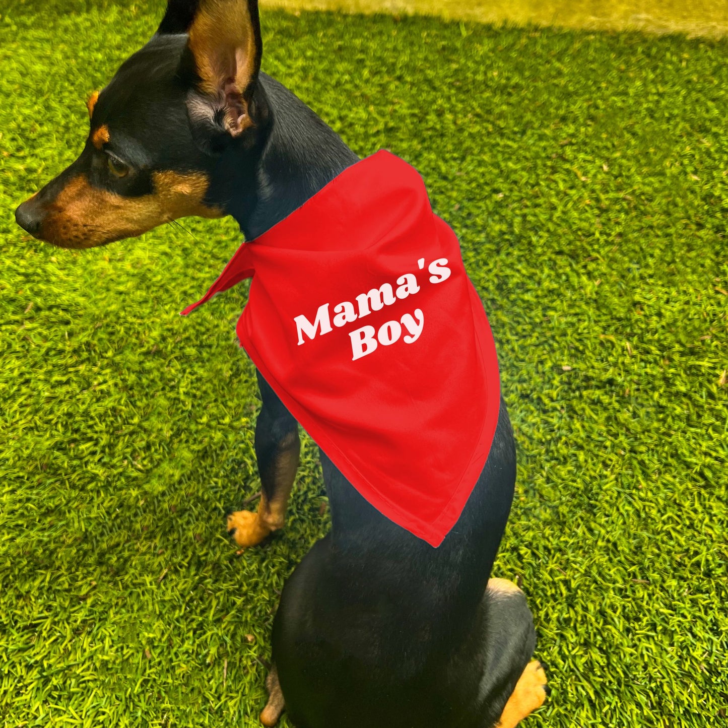"Mama's Boy" Dog Bandana