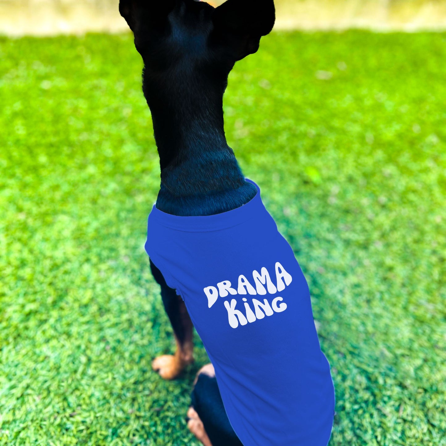 "Drama King" Retro Wave Dog Shirt