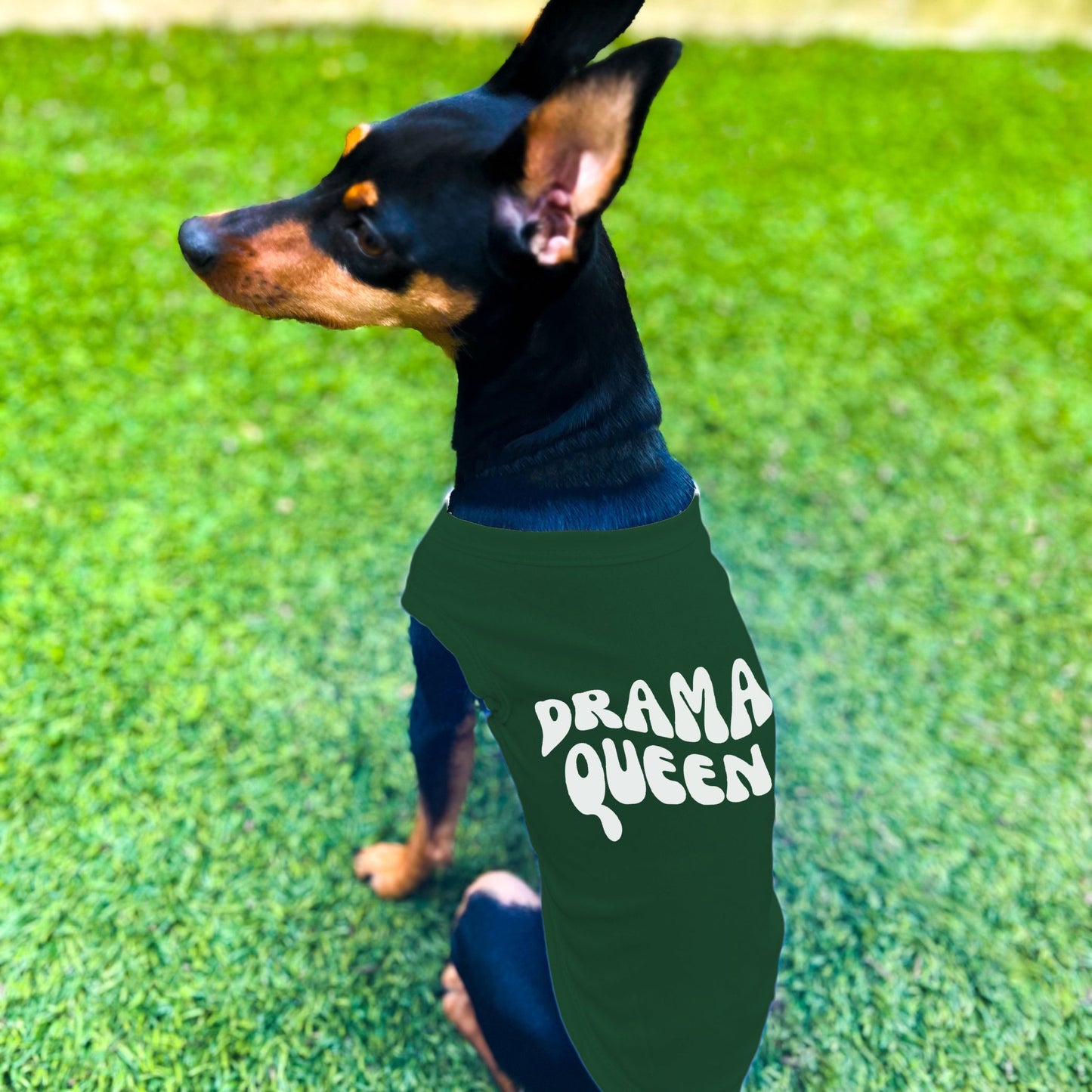 "Drama Queen" Retro Wave Dog Shirt