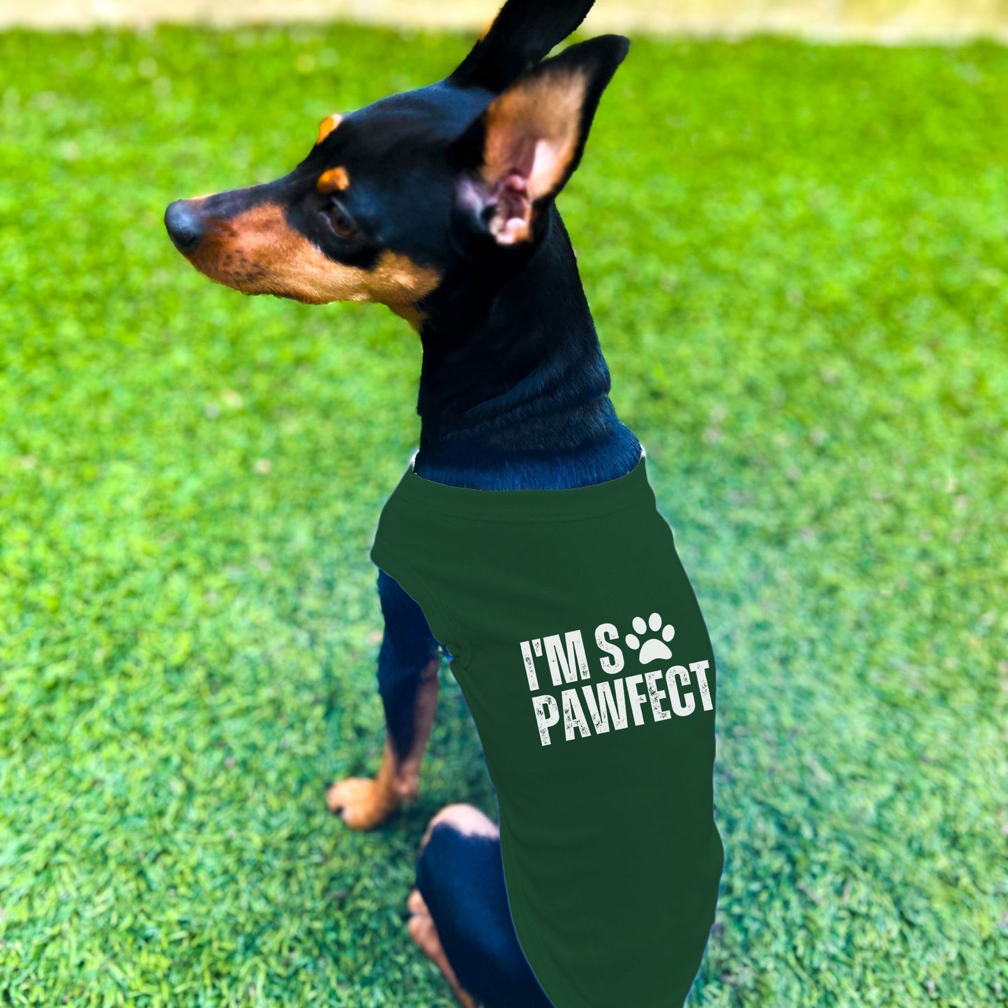 "I'm SO Pawfect" Dog Shirt