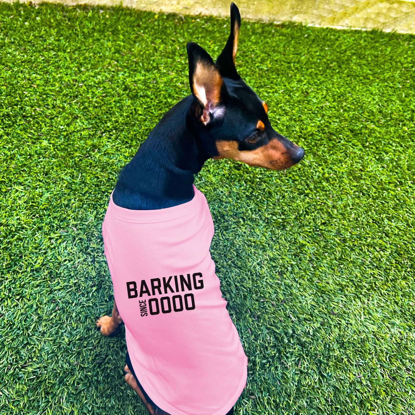 "Barking Since 0000" Custom Dog Shirt