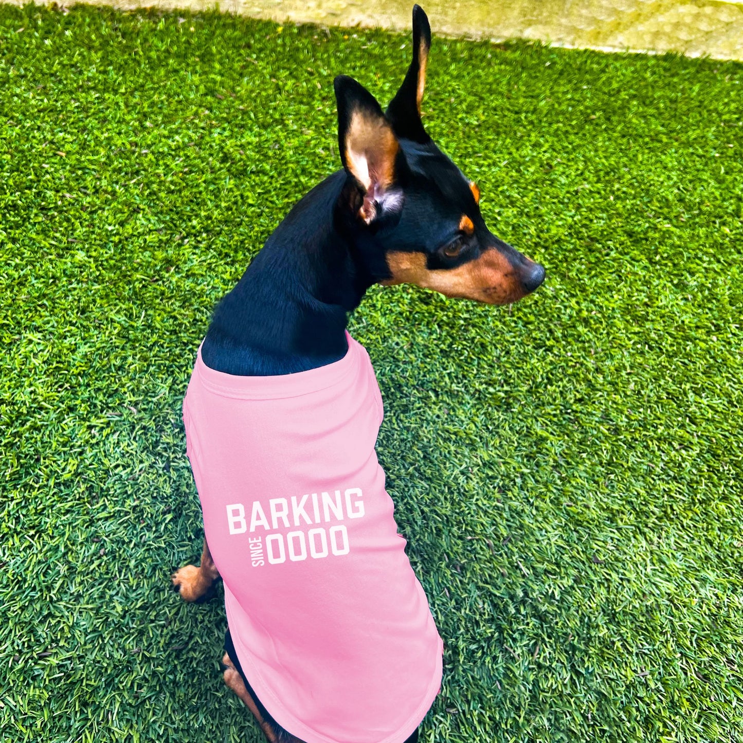 "Barking Since 0000" Custom Dog Shirt