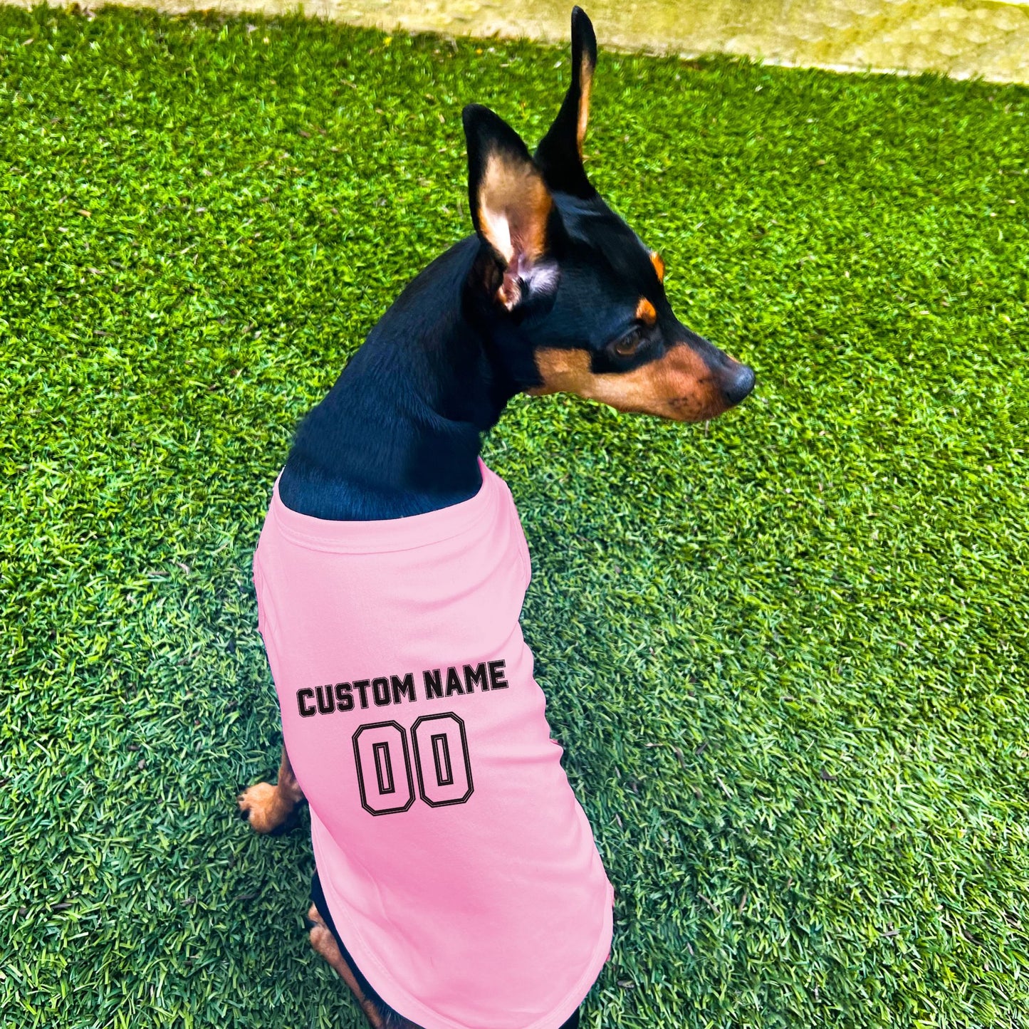 "Team Jersey 00" Custom Dog Shirt