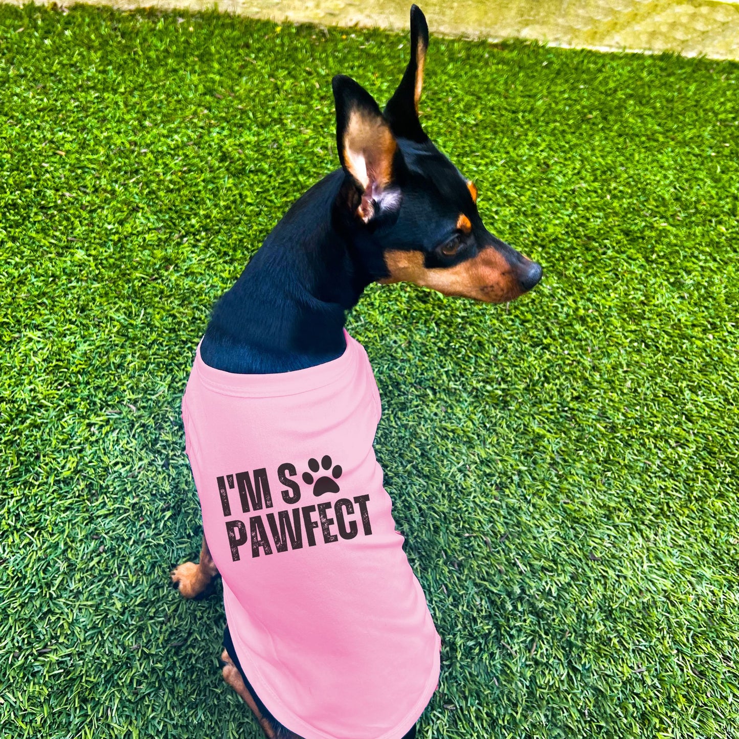 "I'm SO Pawfect" Dog Shirt