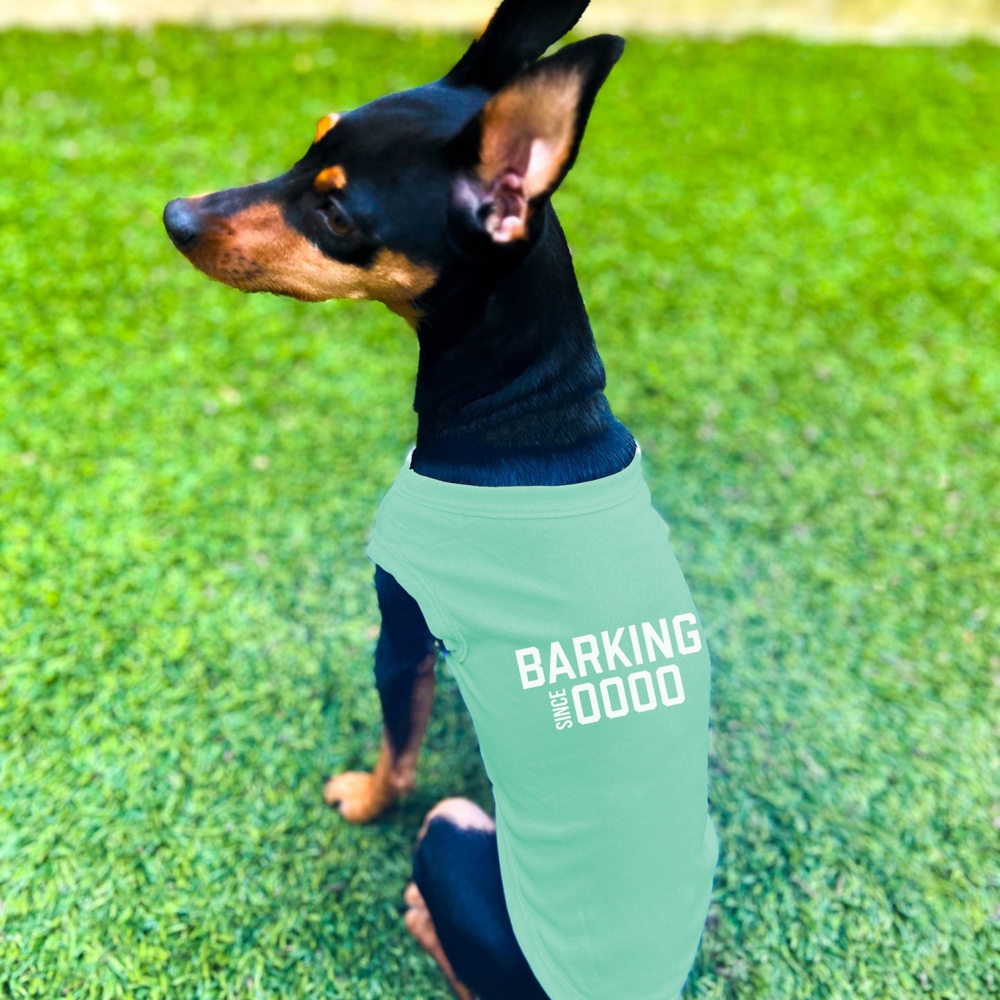 "Barking Since 0000" Custom Dog Shirt