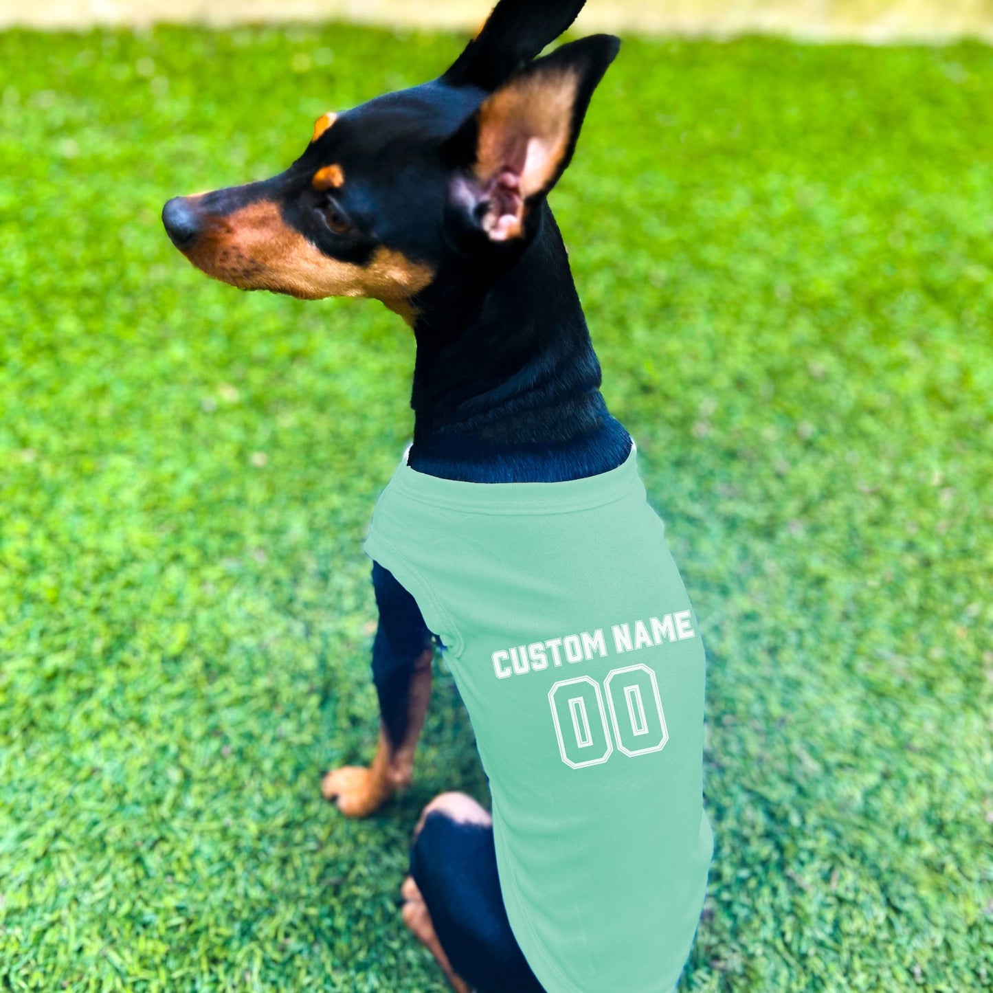 "Team Jersey 00" Custom Dog Shirt