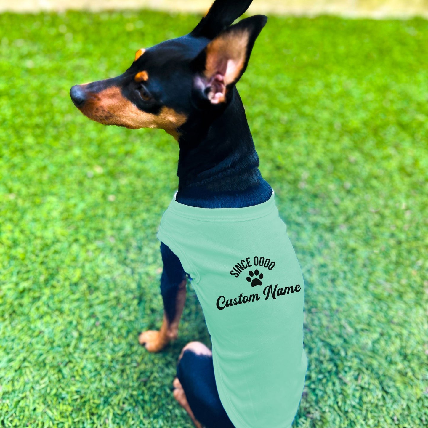 "Since 0000" Custom Dog Shirt