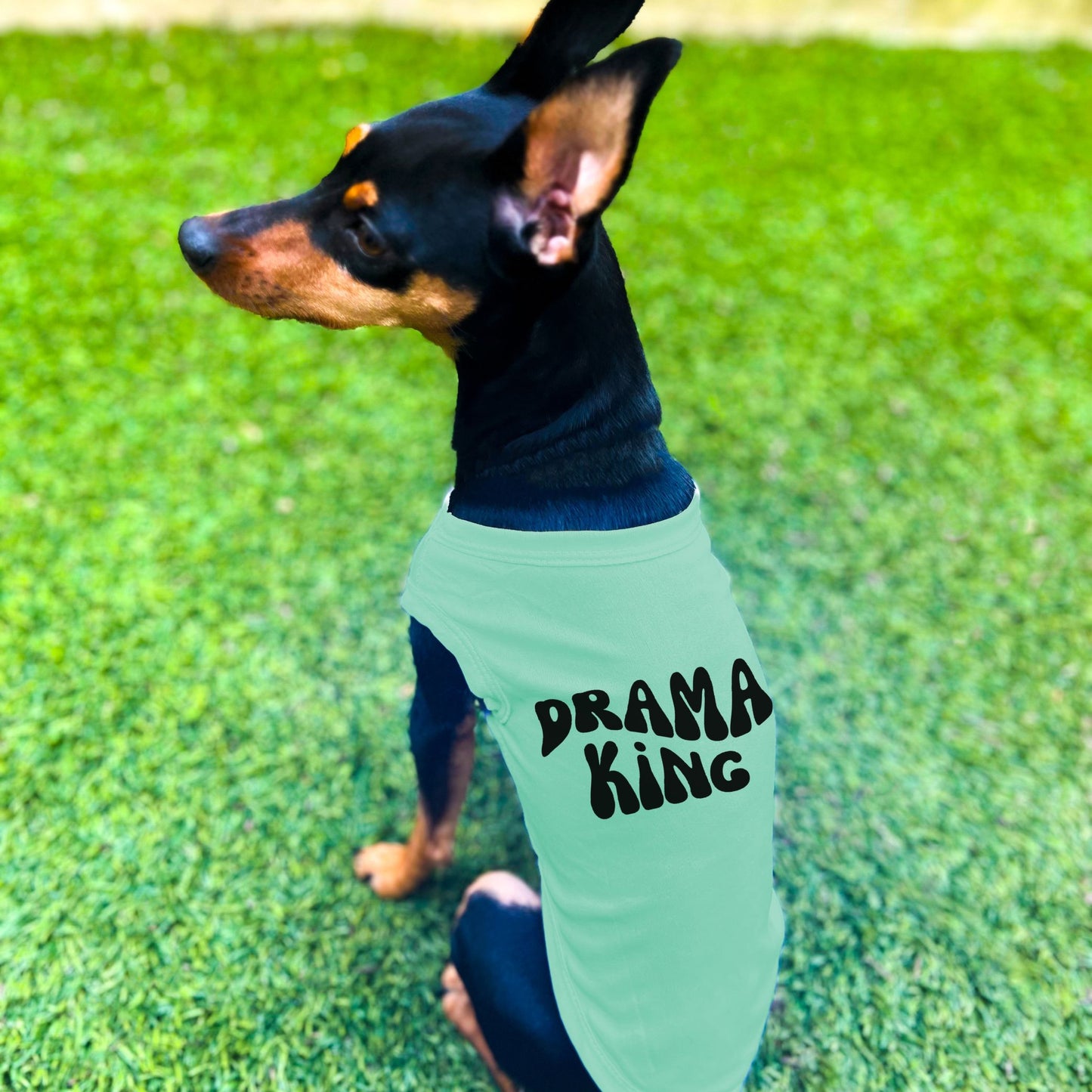 "Drama King" Retro Wave Dog Shirt