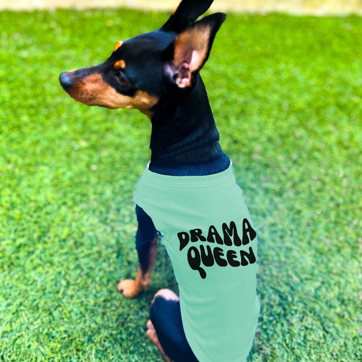 "Drama Queen" Retro Wave Dog Shirt