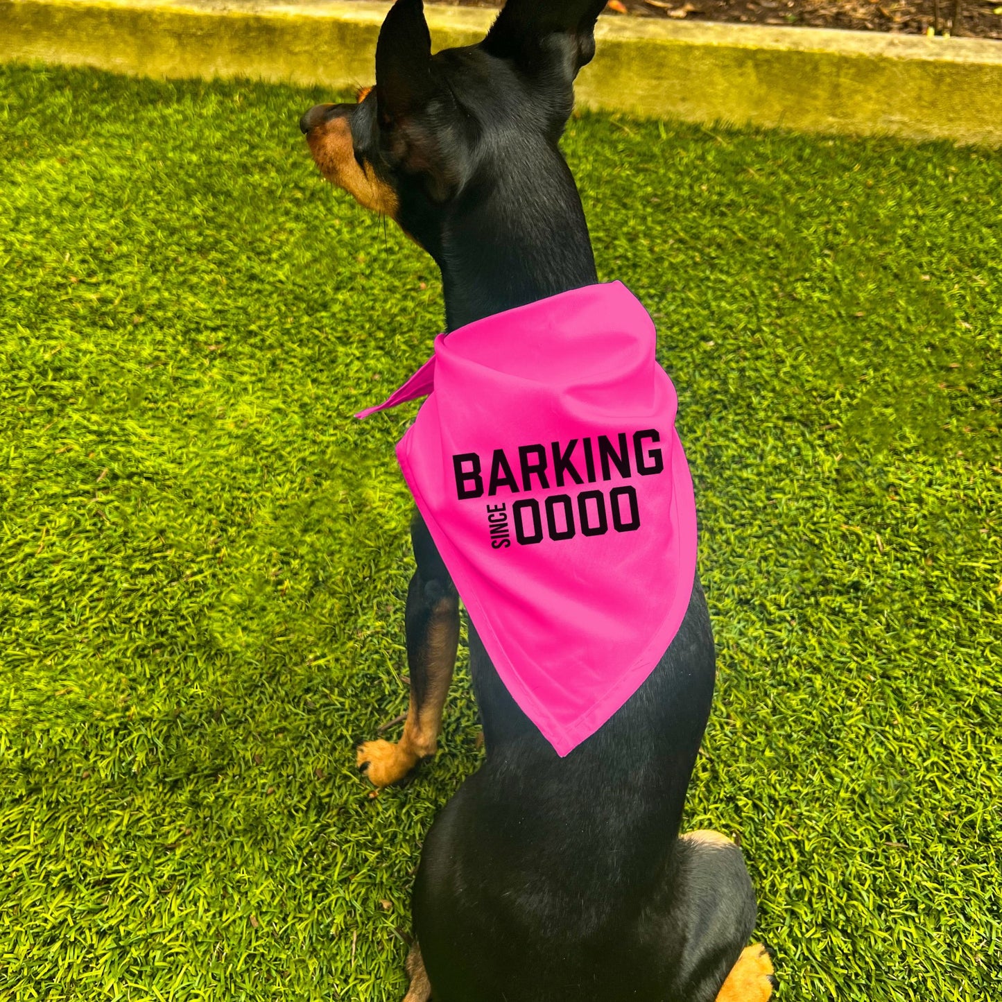 "Barking Since 0000" Custom Dog Bandana