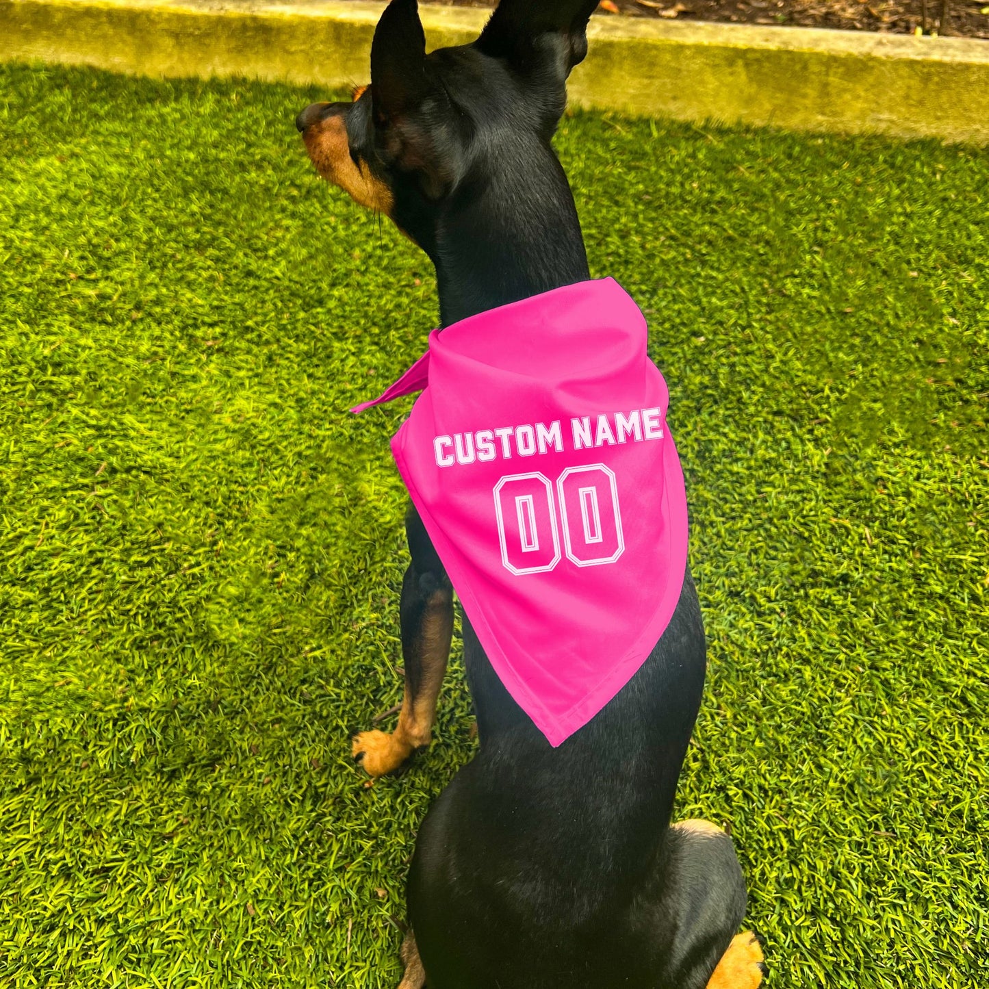 "Team Jersey 00" Custom Dog Bandana