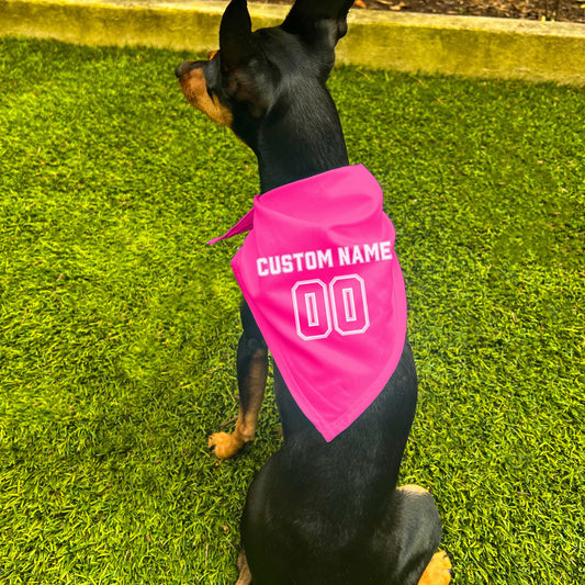 "Team Jersey 00" Custom Dog Bandana