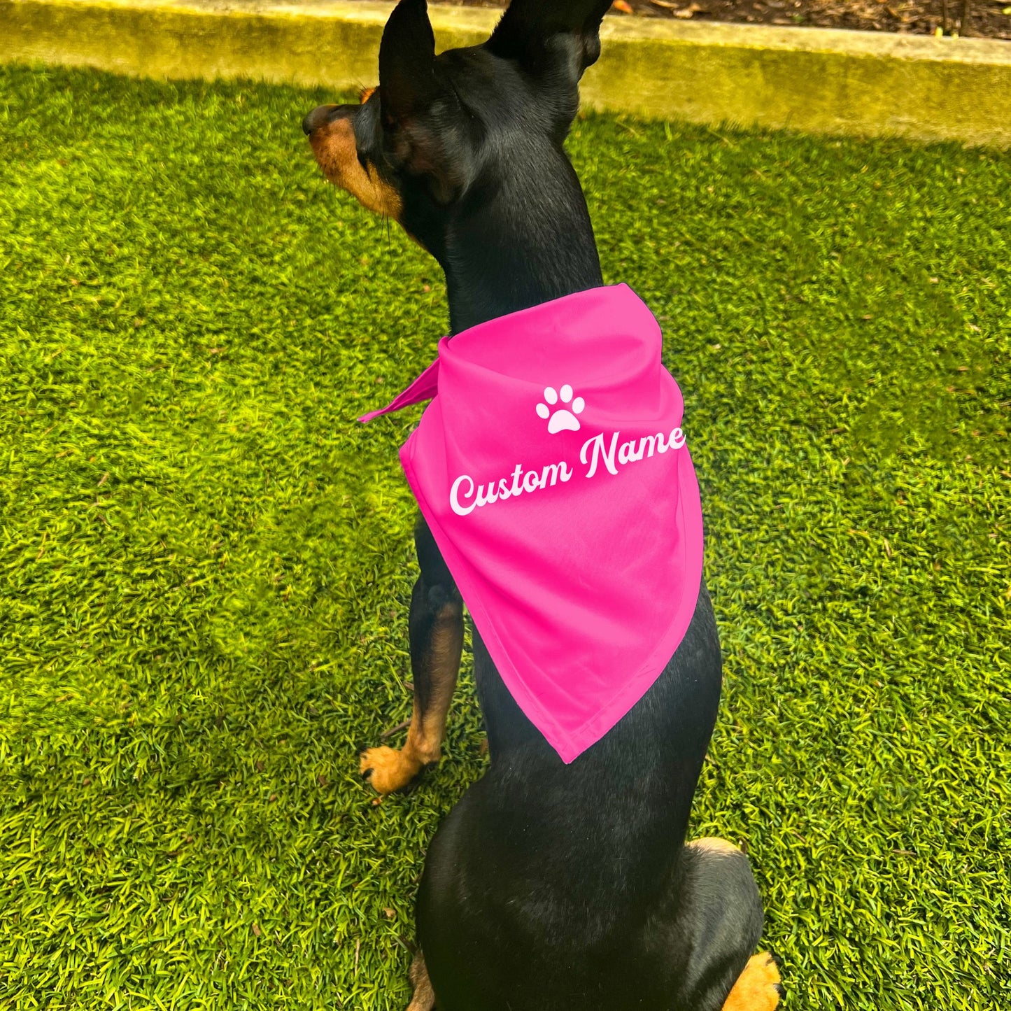 "Personalize Paw" Custom Dog Bandana
