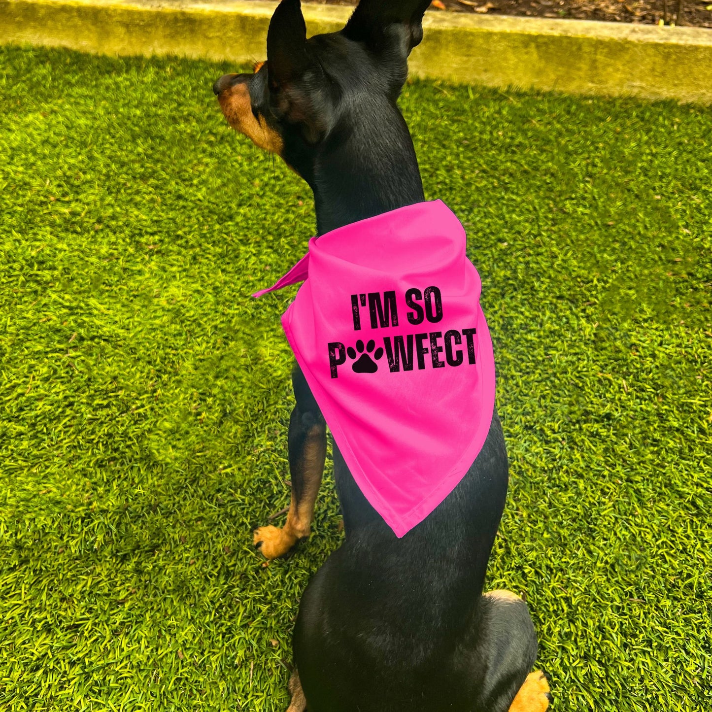 "I'm SO Pawfect" Dog Bandana