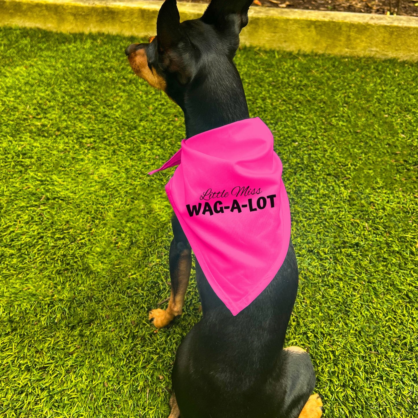 "Little Miss Wag-A-Lot" Dog Bandana
