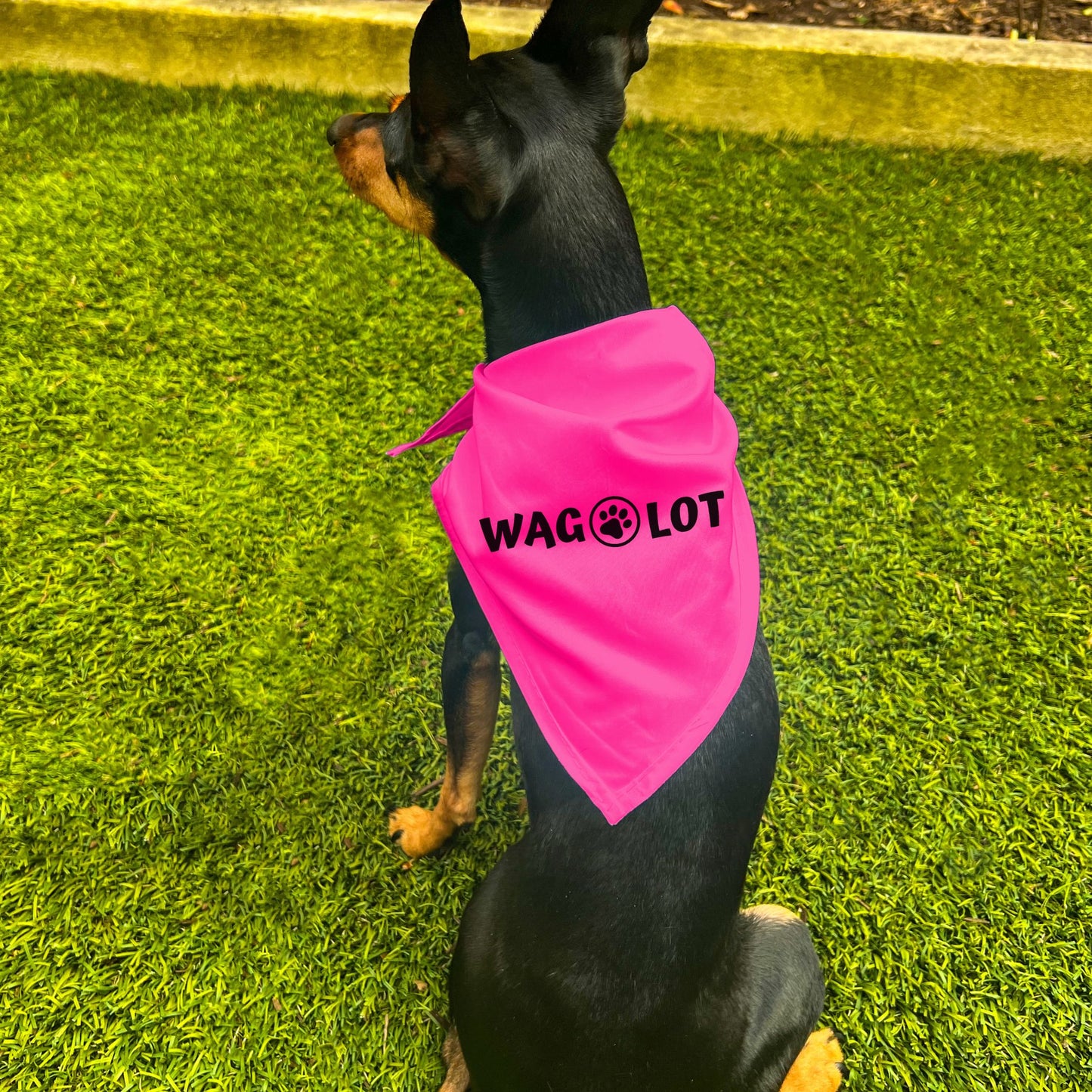 "Wag-A-Lot" Dog Bandana