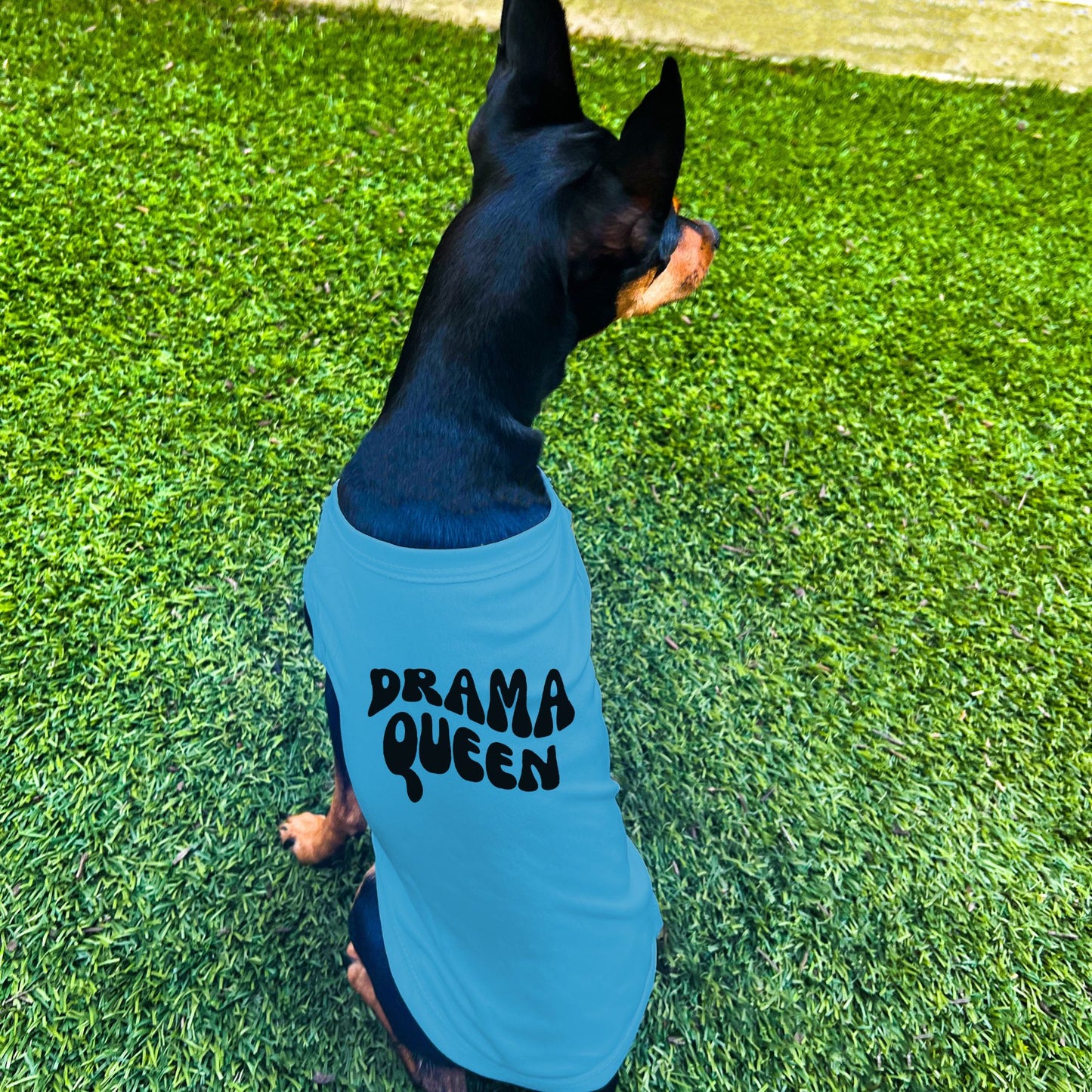 "Drama Queen" Retro Wave Dog Shirt