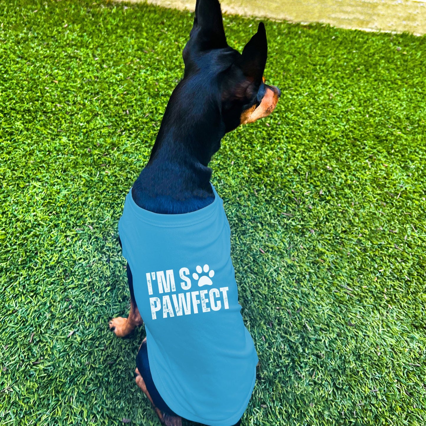"I'm SO Pawfect" Dog Shirt