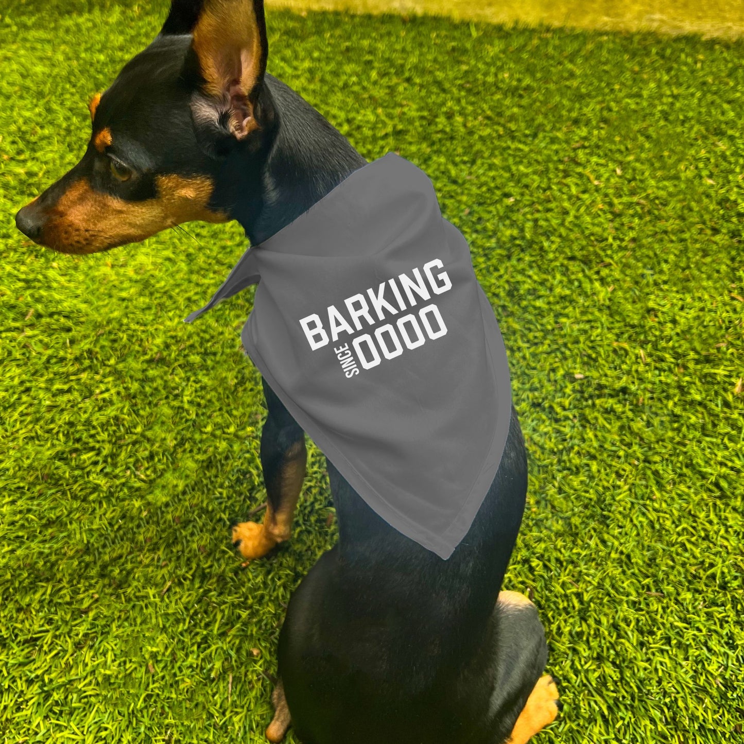 "Barking Since 0000" Custom Dog Bandana