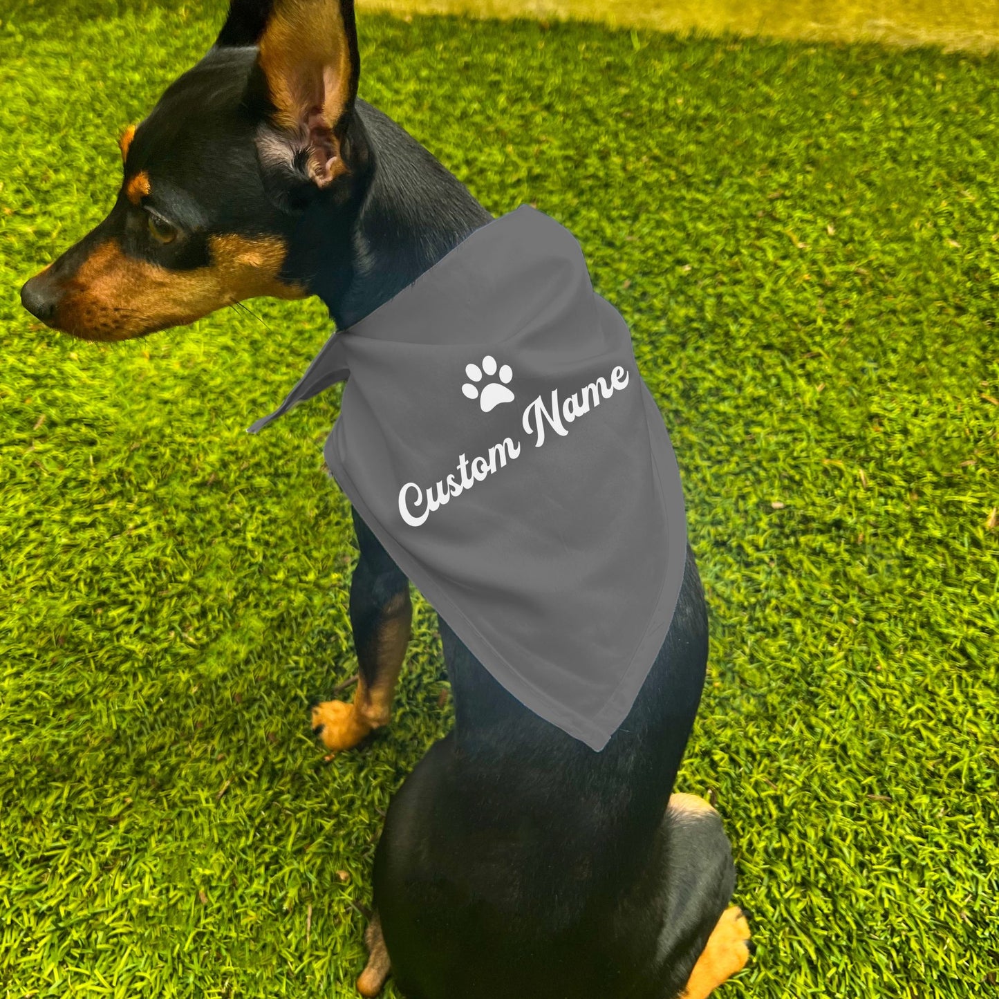 "Personalize Paw" Custom Dog Bandana