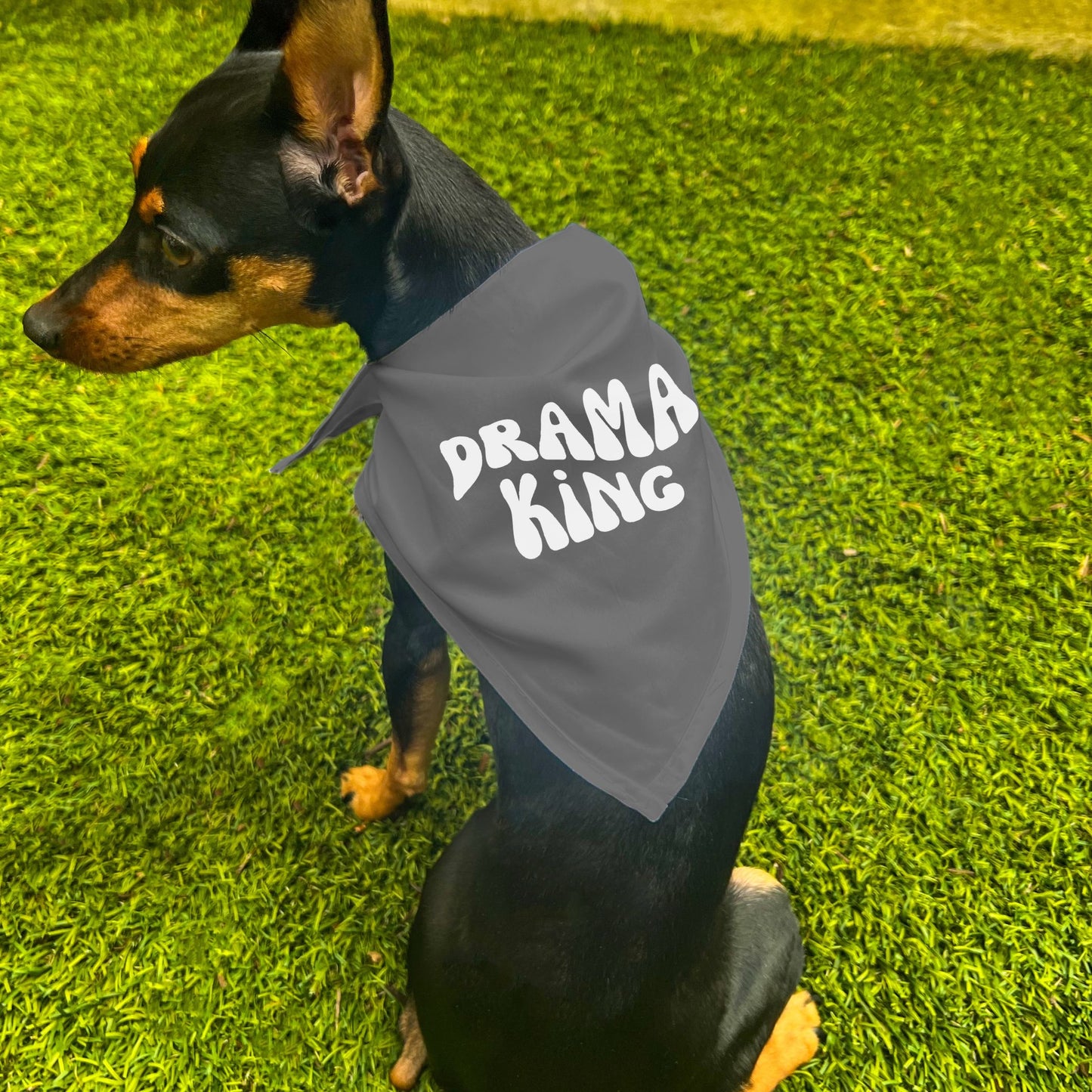 "Drama King" Retro Wave Dog Bandana
