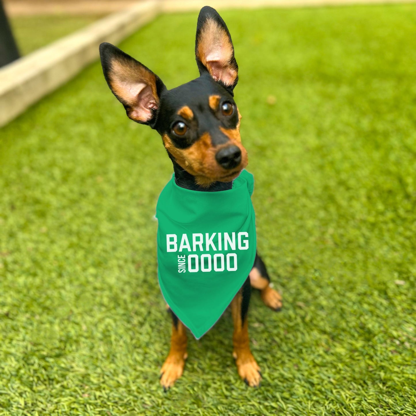 "Barking Since 0000" Custom Dog Bandana