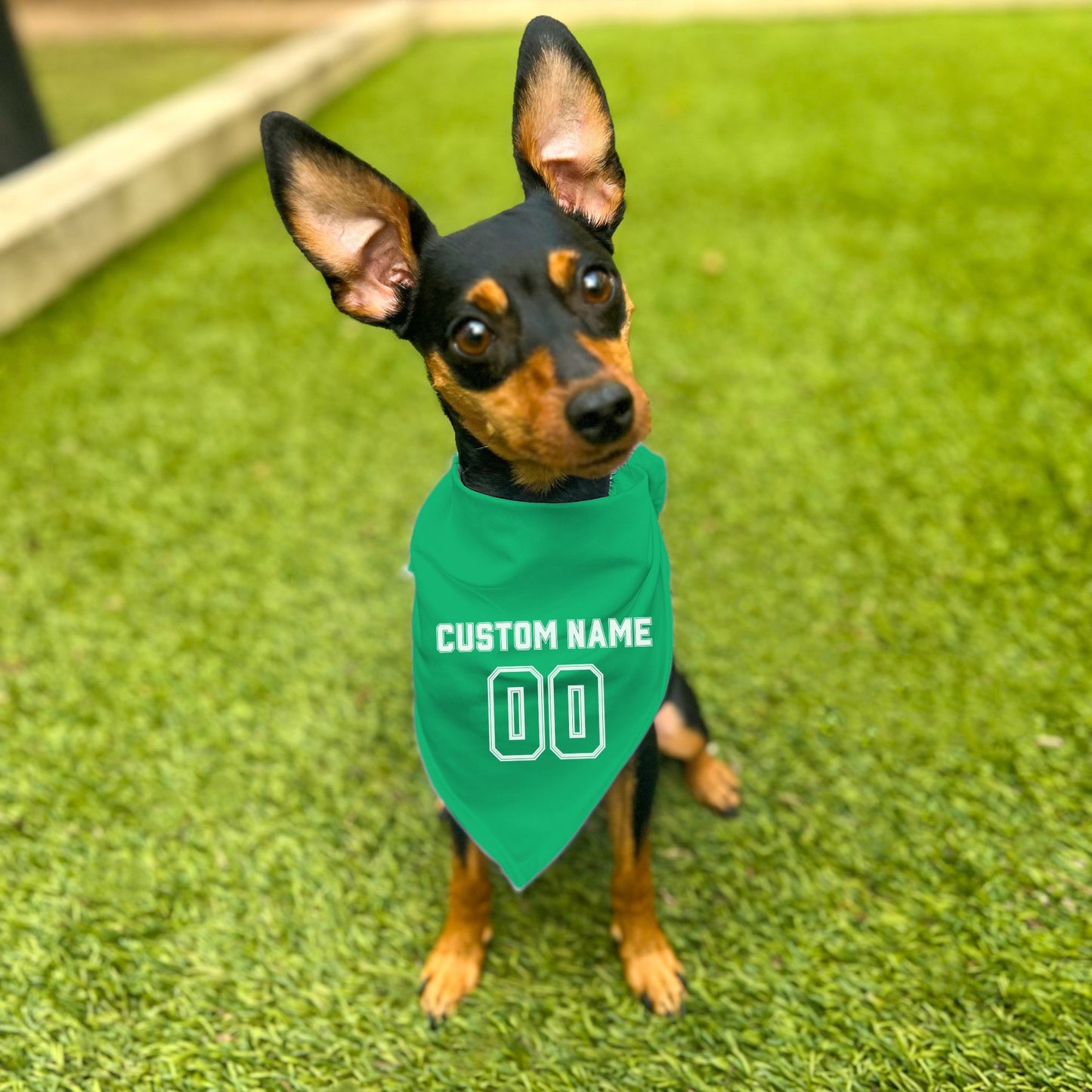 "Team Jersey 00" Custom Dog Bandana