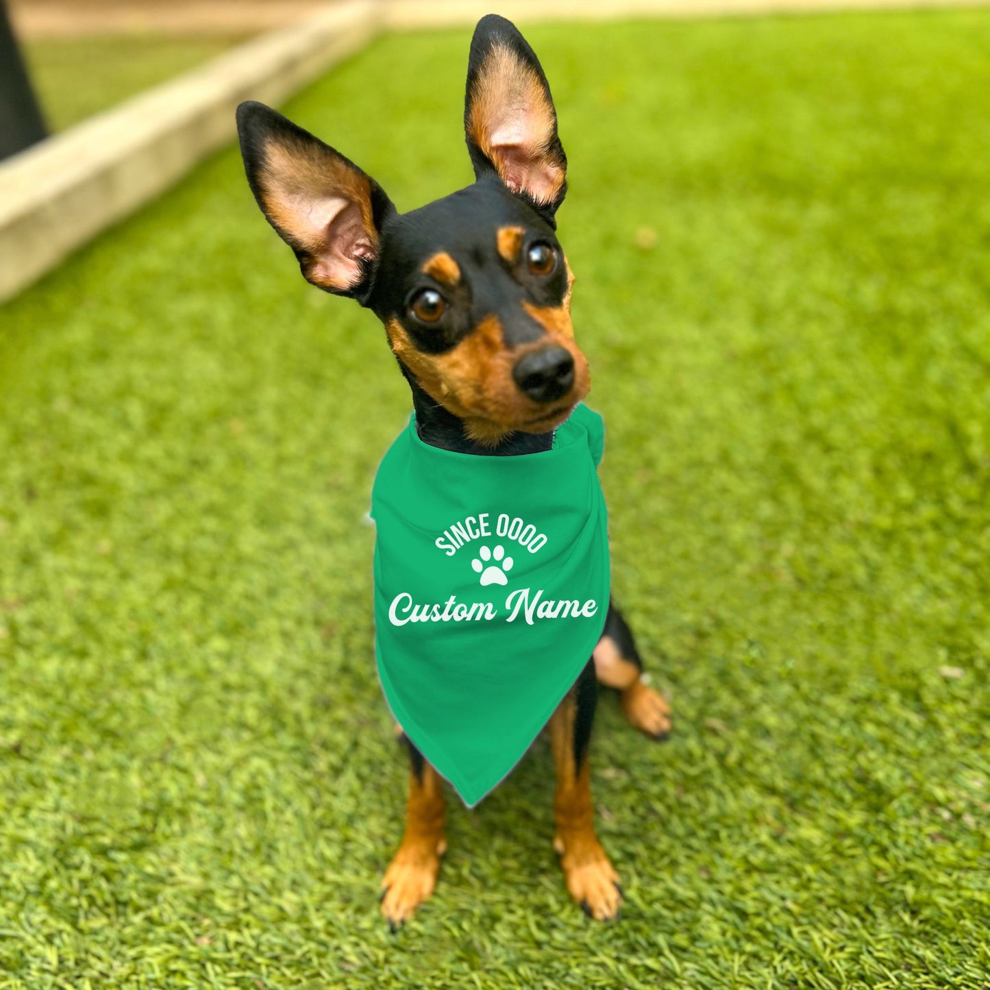 "Since 0000" Custom Dog Bandana