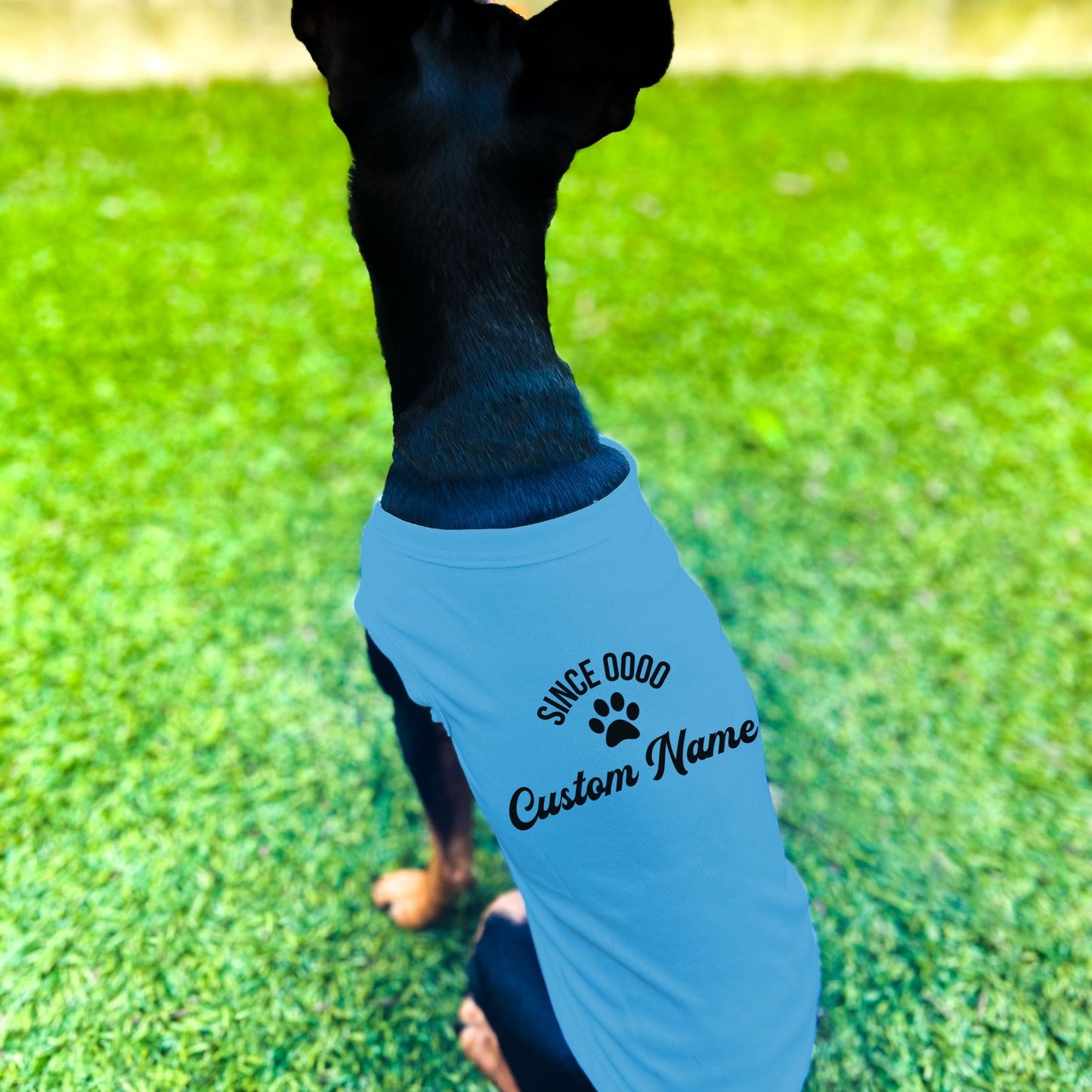 "Since 0000" Custom Dog Shirt