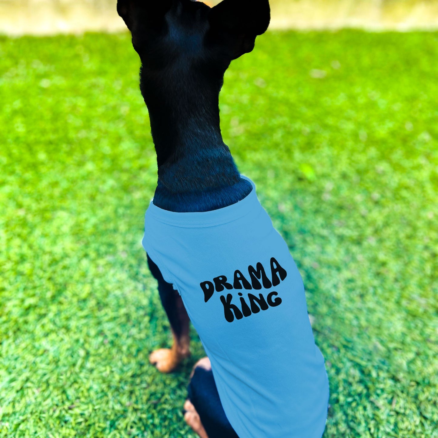 "Drama King" Retro Wave Dog Shirt