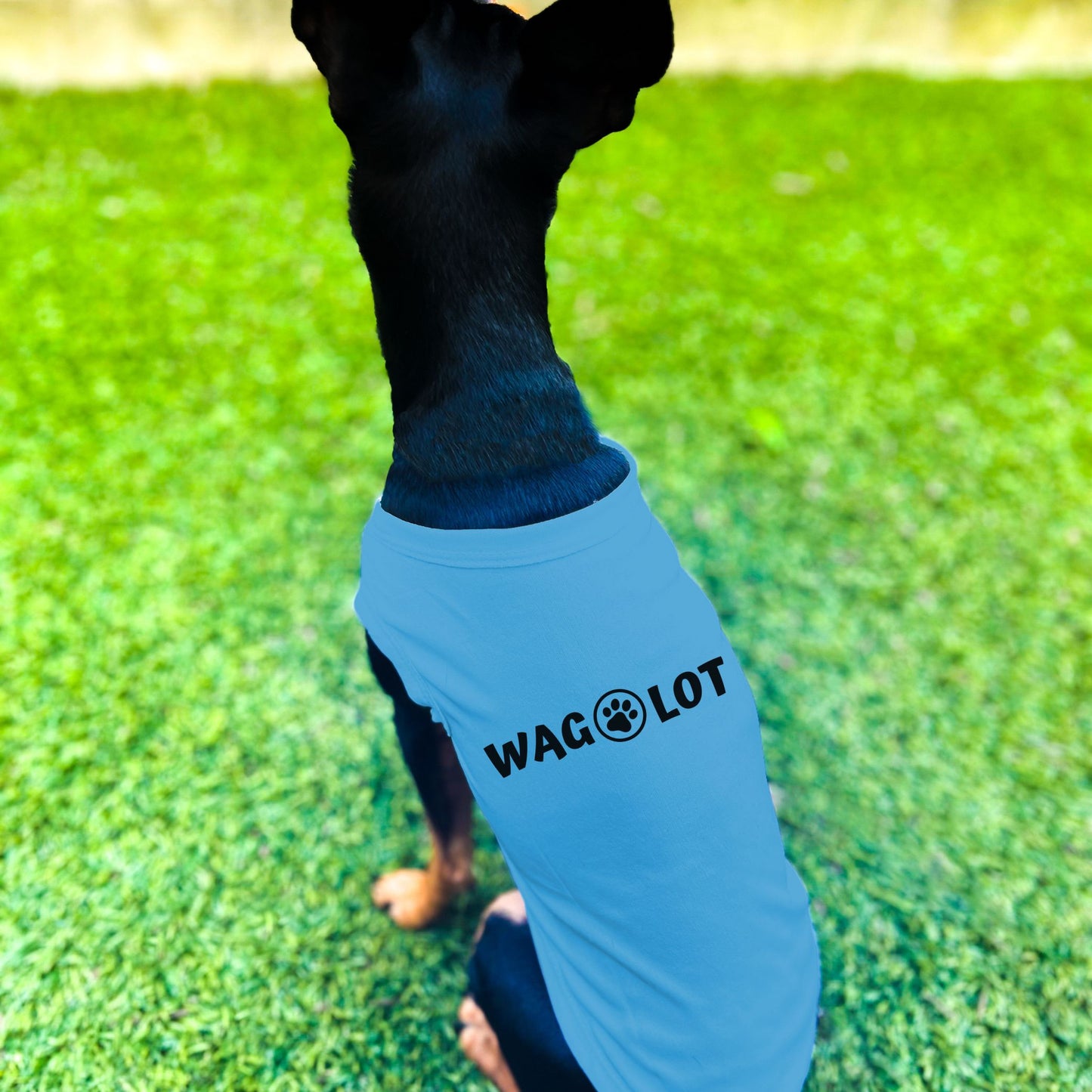 "Wag-A-Lot" Dog Shirt