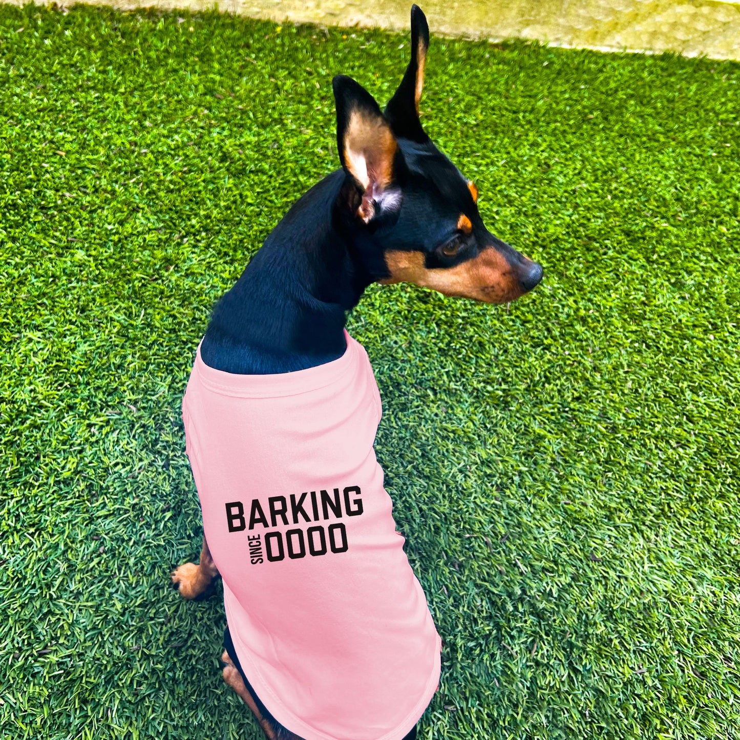 "Barking Since 0000" Custom Dog Shirt