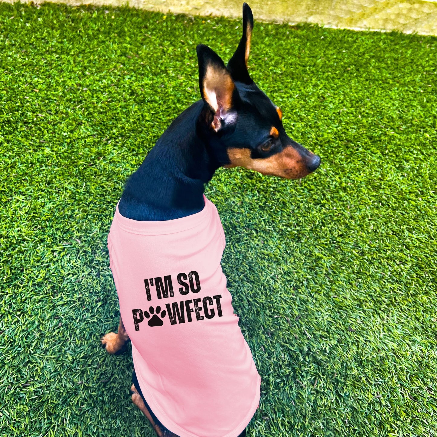 "I'm So PAWfect" Dog Shirt