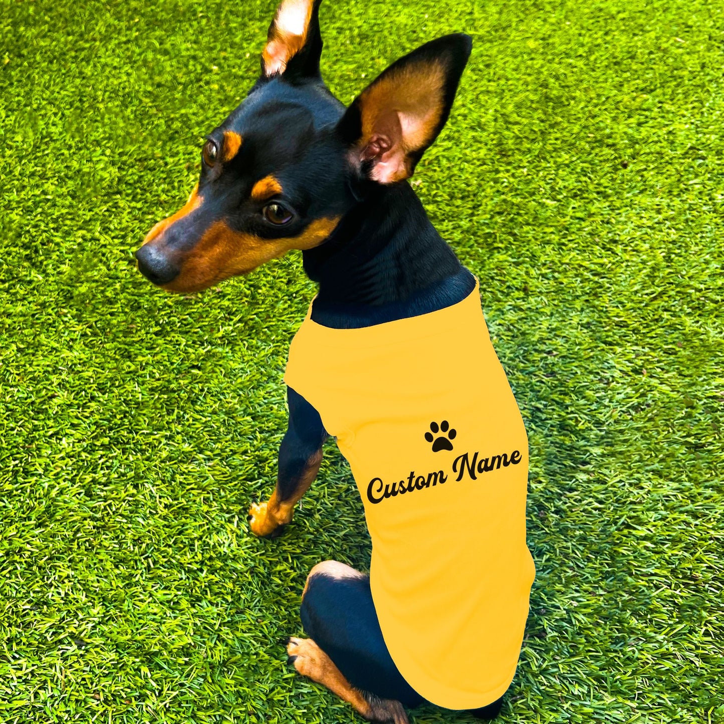 "Personalize Paw" Custom Dog Shirt