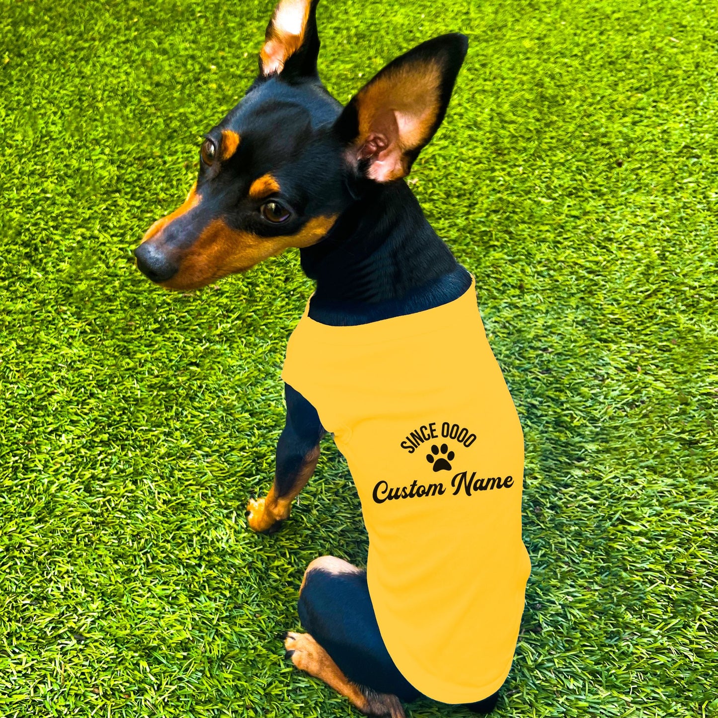 "Since 0000" Custom Dog Shirt