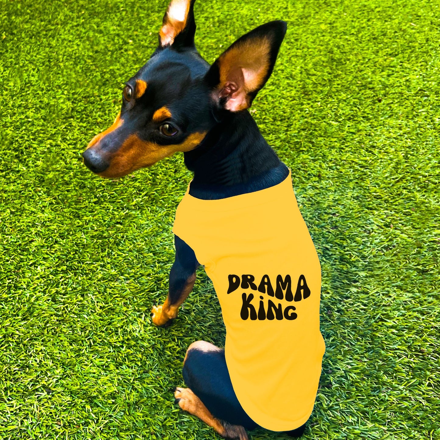 "Drama King" Retro Wave Dog Shirt