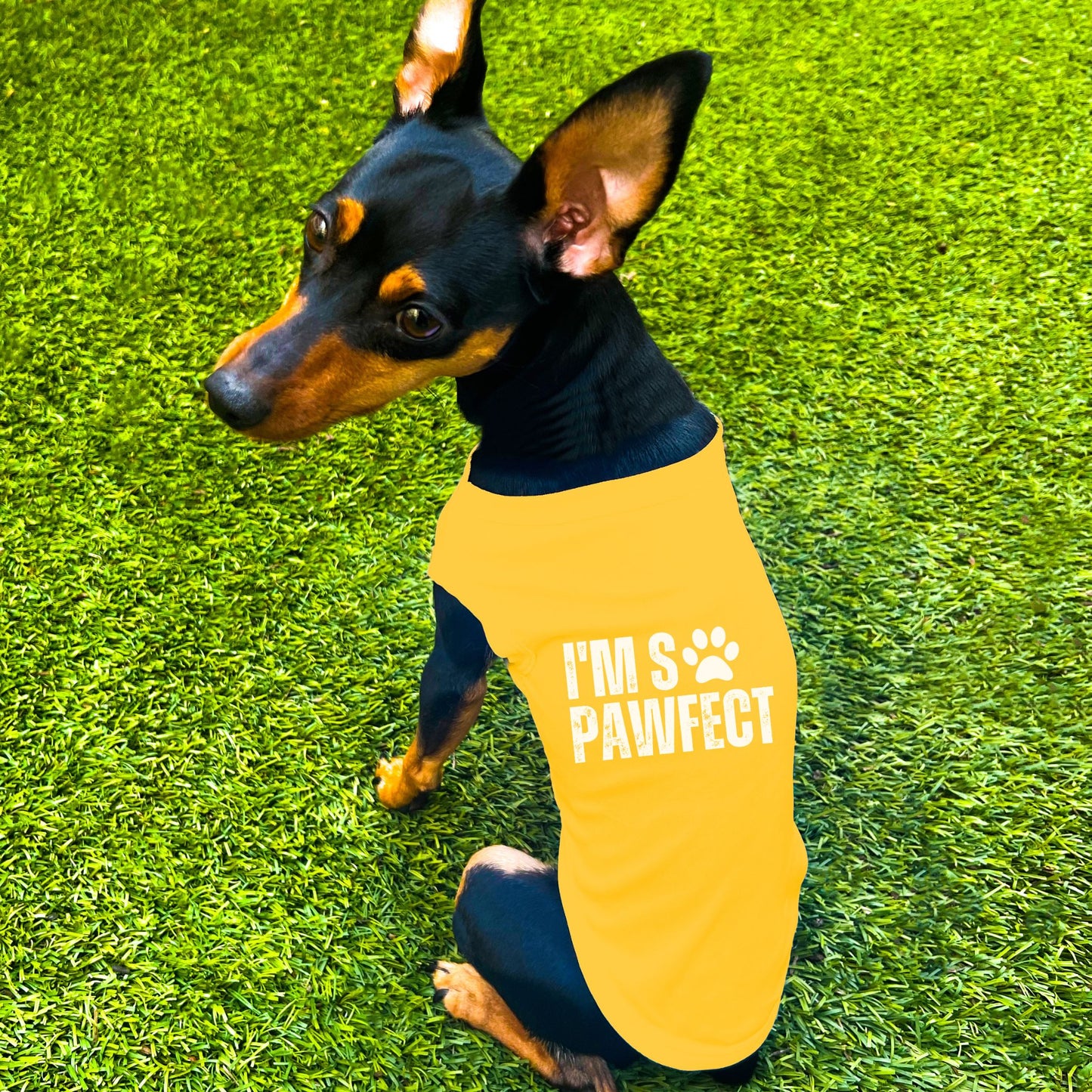 "I'm SO Pawfect" Dog Shirt