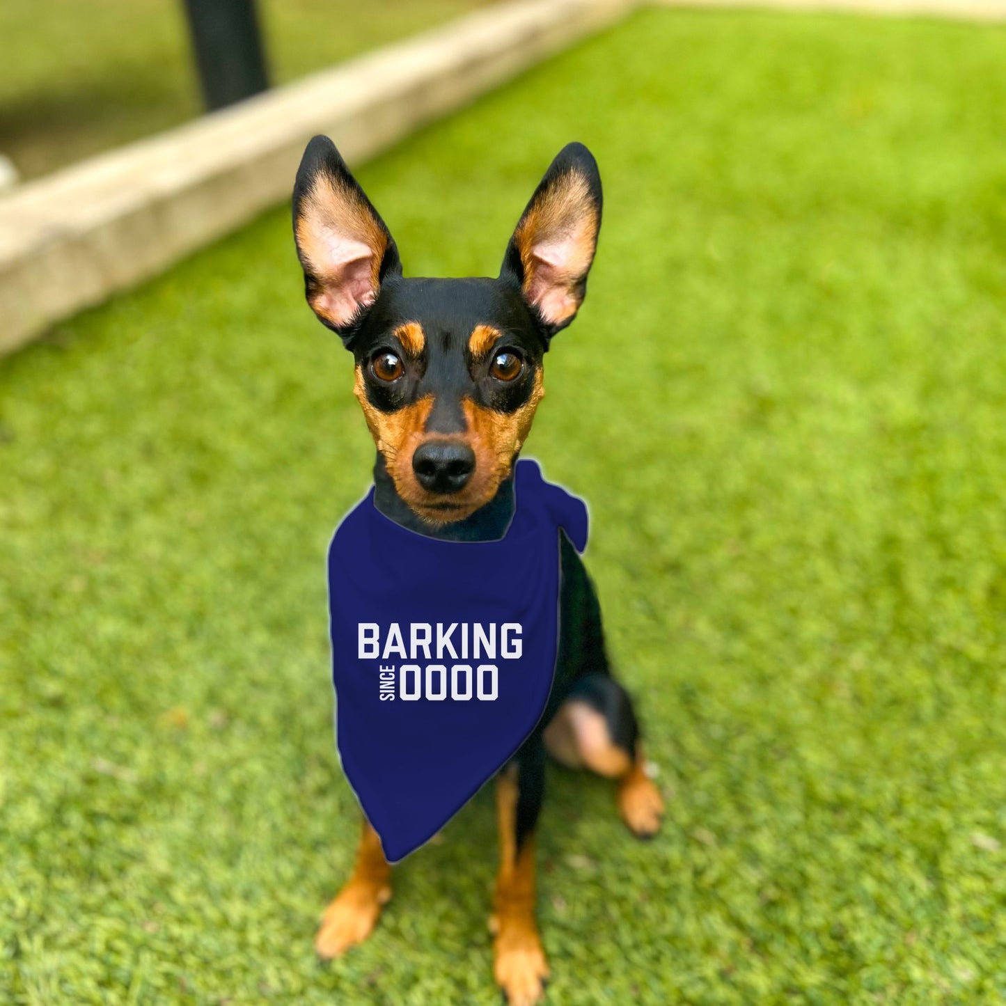 "Barking Since 0000" Custom Dog Bandana