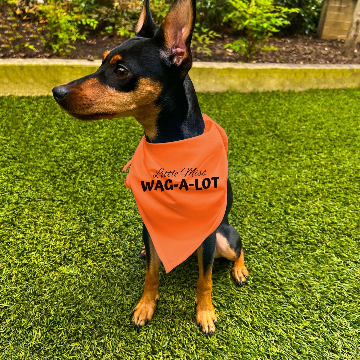 "Little Miss Wag-A-Lot" Dog Bandana