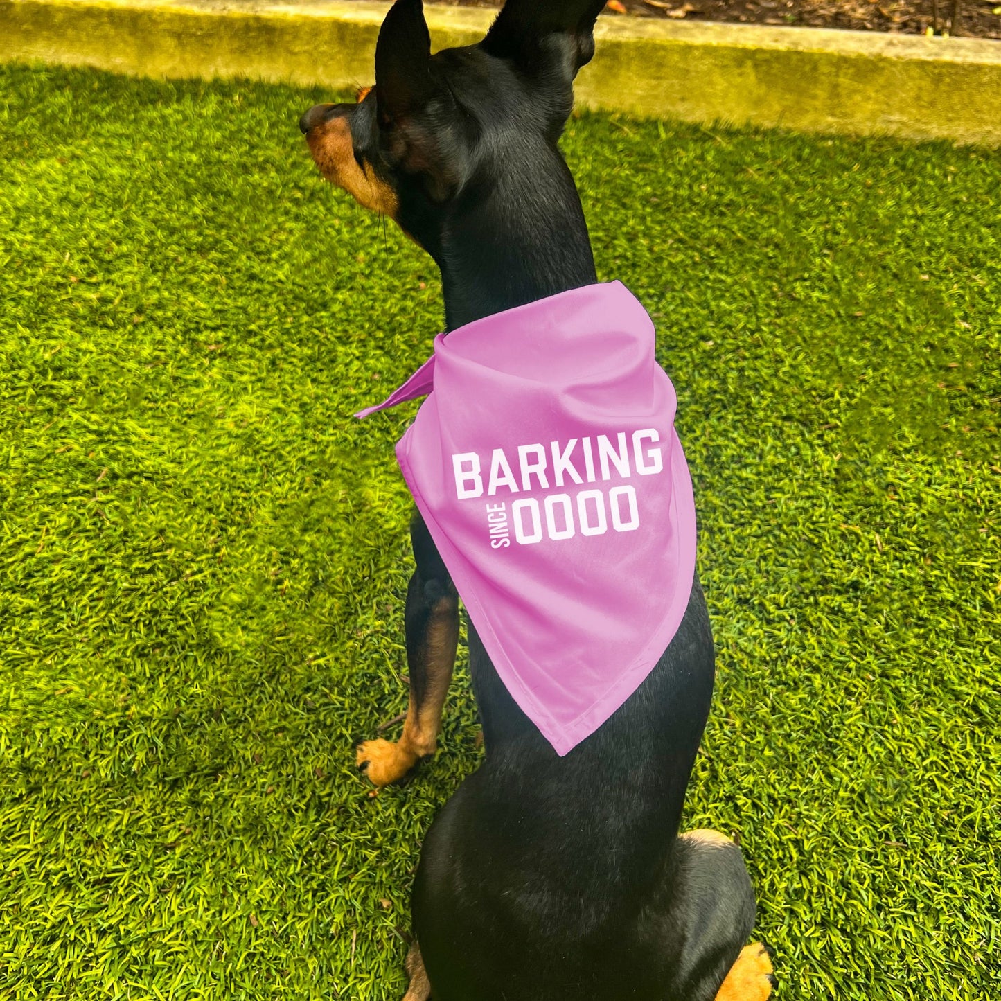 "Barking Since 0000" Custom Dog Bandana