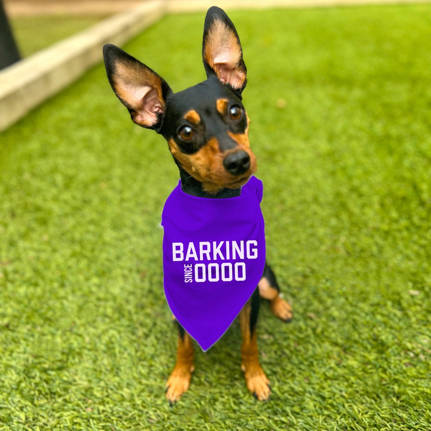 "Barking Since 0000" Custom Dog Bandana