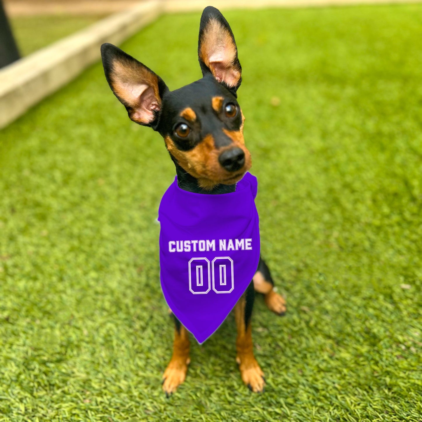 "Team Jersey 00" Custom Dog Bandana