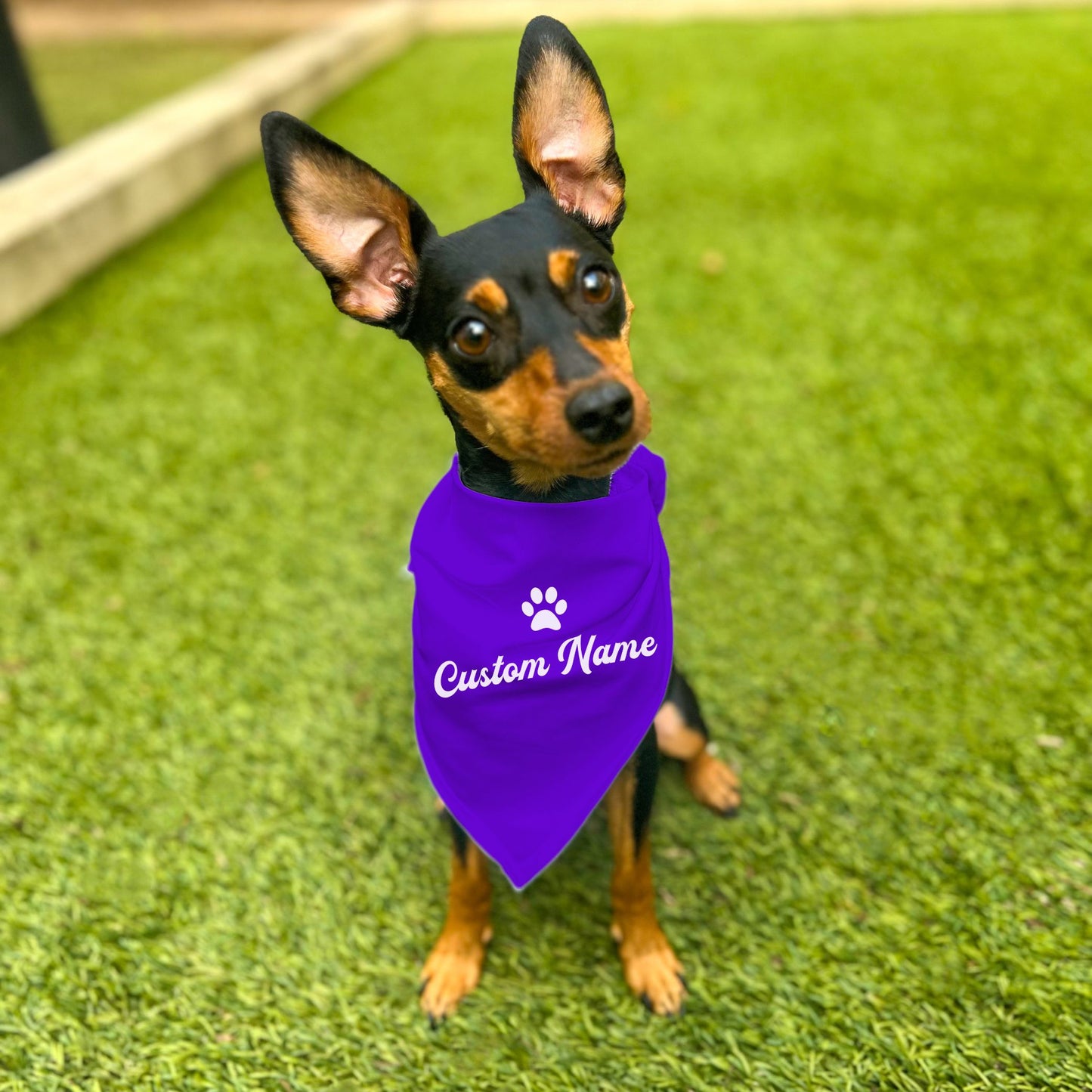 "Personalize Paw" Custom Dog Bandana