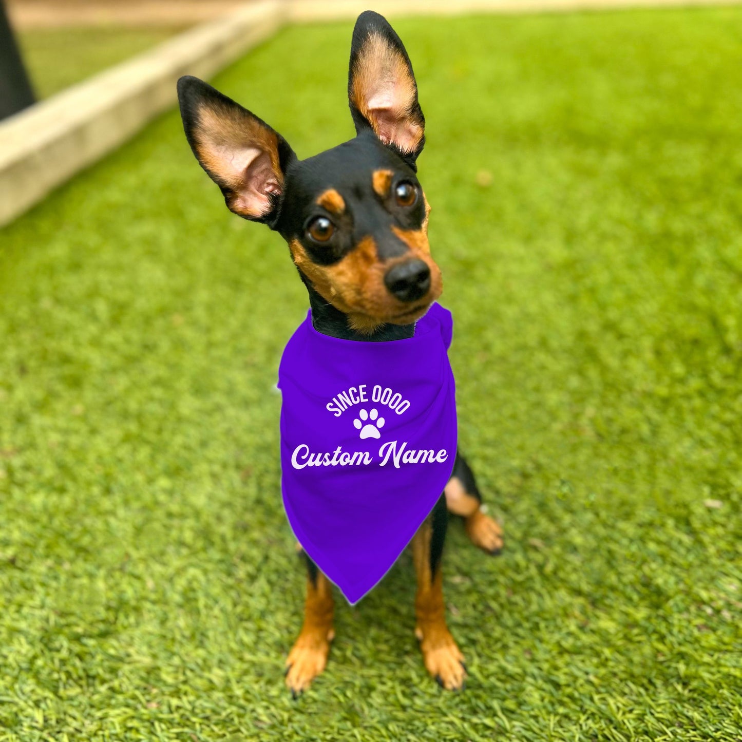 "Since 0000" Custom Dog Bandana