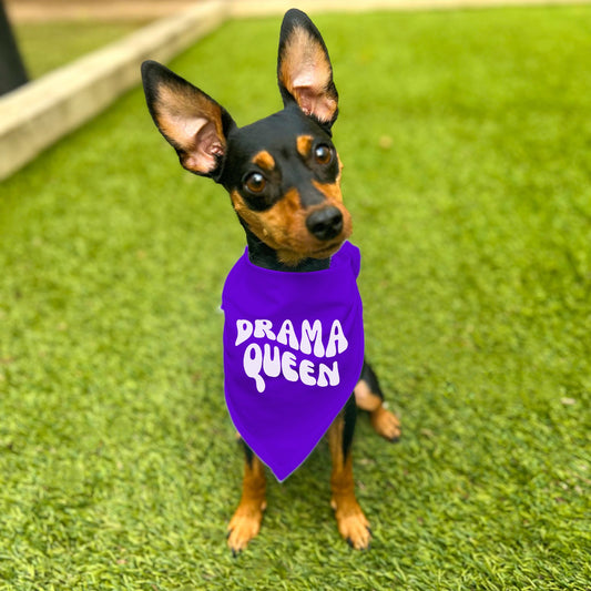 "Drama Queen" Retro Wave Dog Bandana